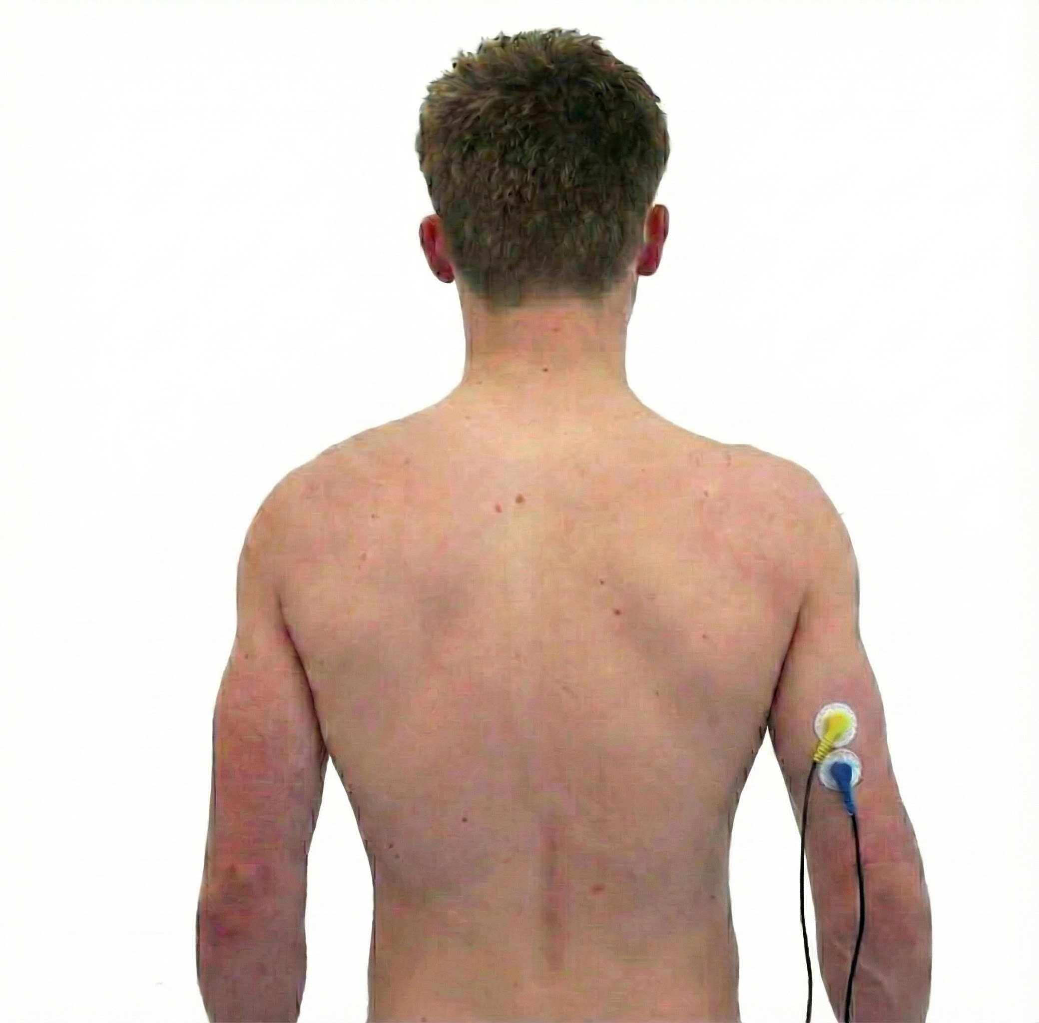 Triceps brachii sensor placement